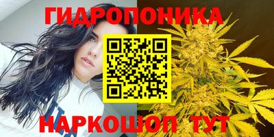 мяу мяу мука Бузулук