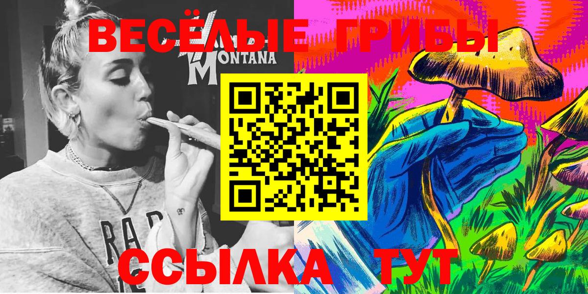 Псилоцибиновые грибы мухоморы Казань