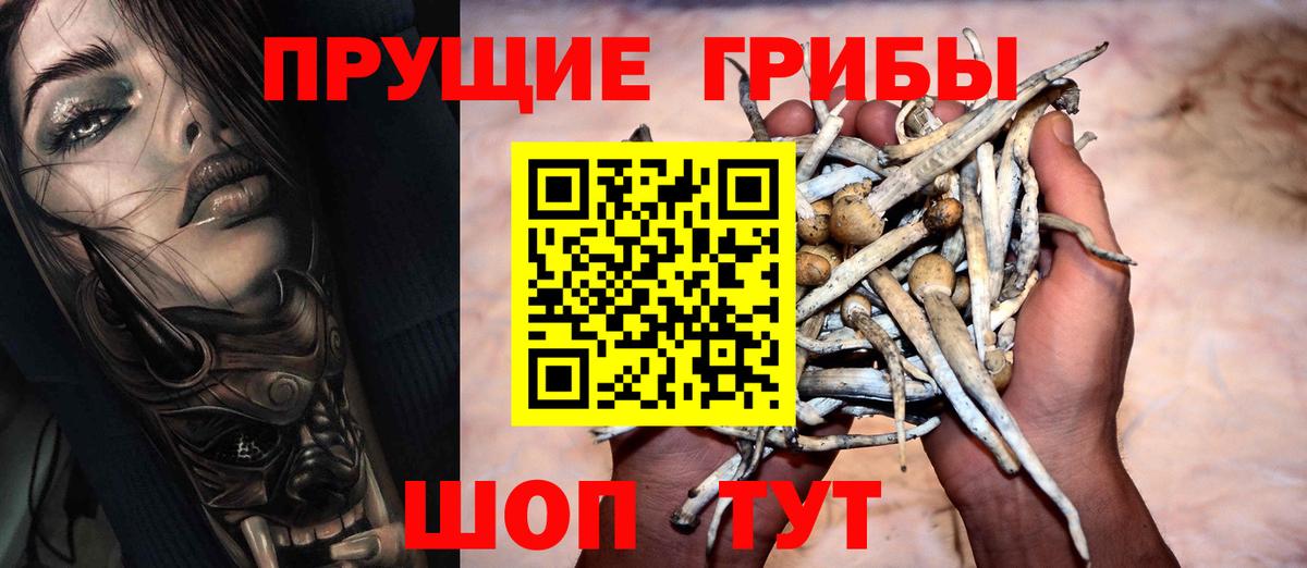 Псилоцибиновые грибы Psilocybe  Вход с VPN  Псилоцибиновые грибы мухоморы  Казань 